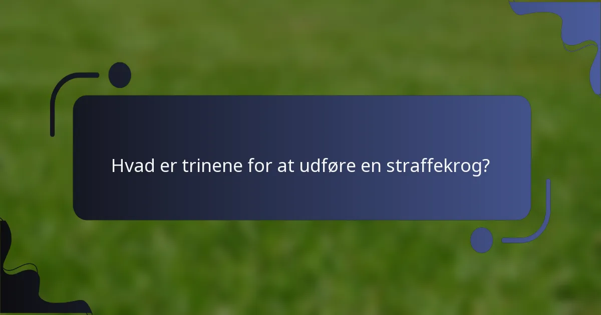 Hvad er trinene for at udføre en straffekrog?