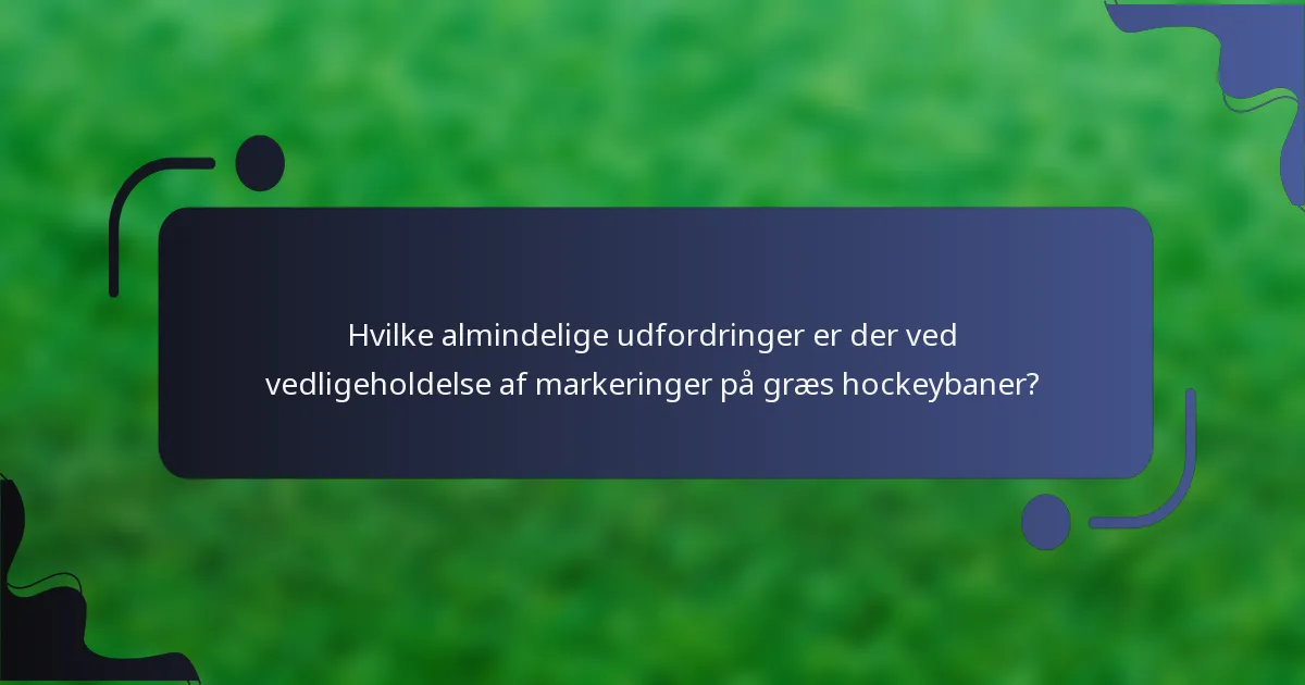 Hvilke almindelige udfordringer er der ved vedligeholdelse af markeringer på græs hockeybaner?