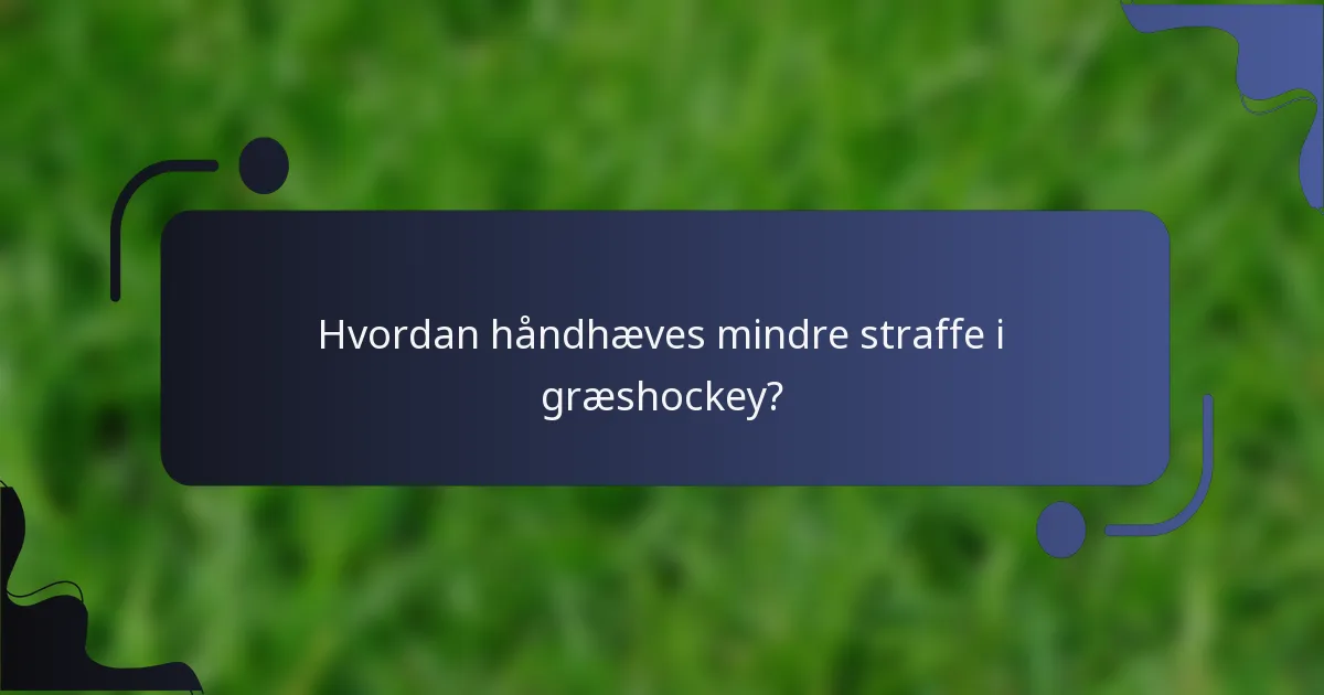 Hvordan håndhæves mindre straffe i græshockey?